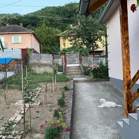 Smestaj Zeka Tekija Apartment *