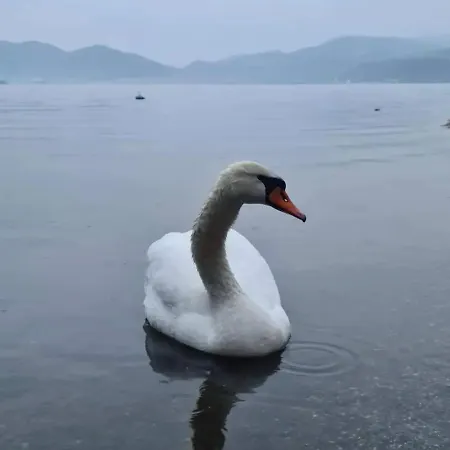 Apartment Smestaj Zeka Tekija