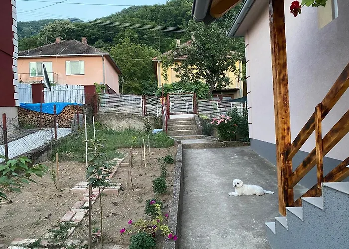 Smestaj Zeka Tekija Διαμέρισμα *