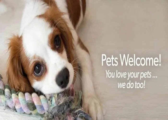 Smestaj Zeka Tekija Tekija (Bor)