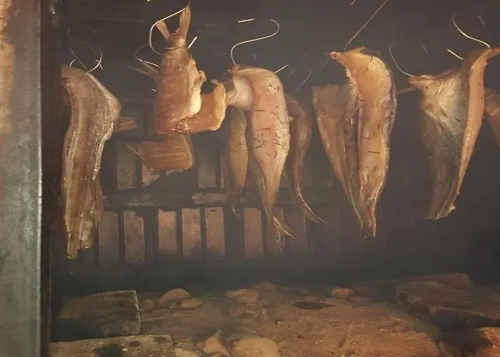 Smestaj Zeka Tekija *