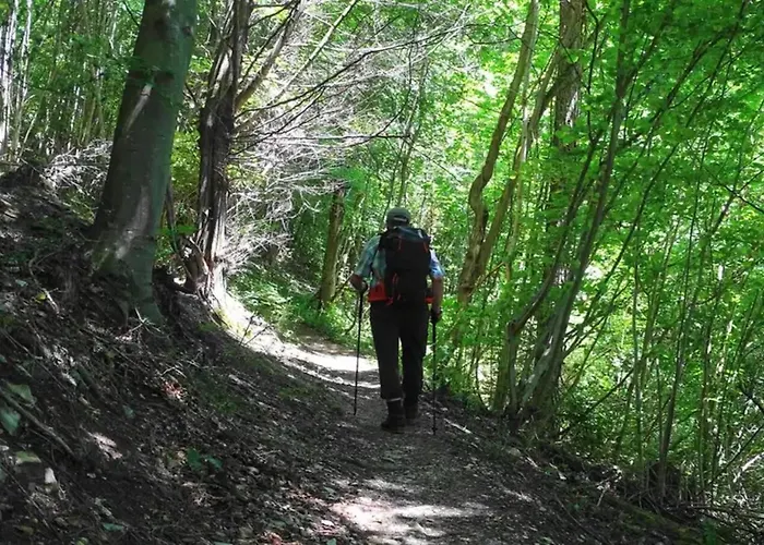 Διαμέρισμα Smestaj Zeka Tekija Tekija (Bor)